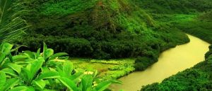 Kerala Tour Package for 5 Nights & 6 Days - Cochin to Cochin