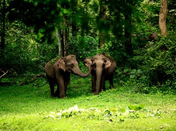 kerala tour packages for family